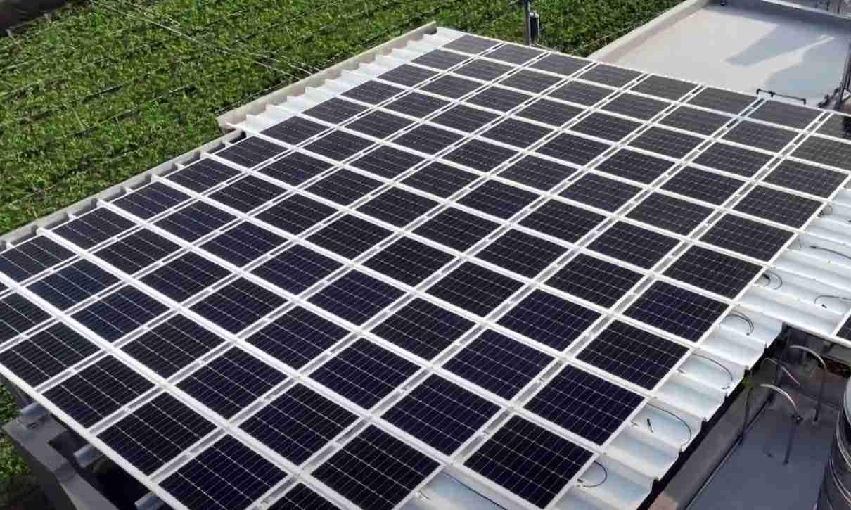 云顶国际8588ydSunSteel光电浪板升级双玻结构，，，以提升机械负载强度及气候耐候度，，可广泛运用于多元场域