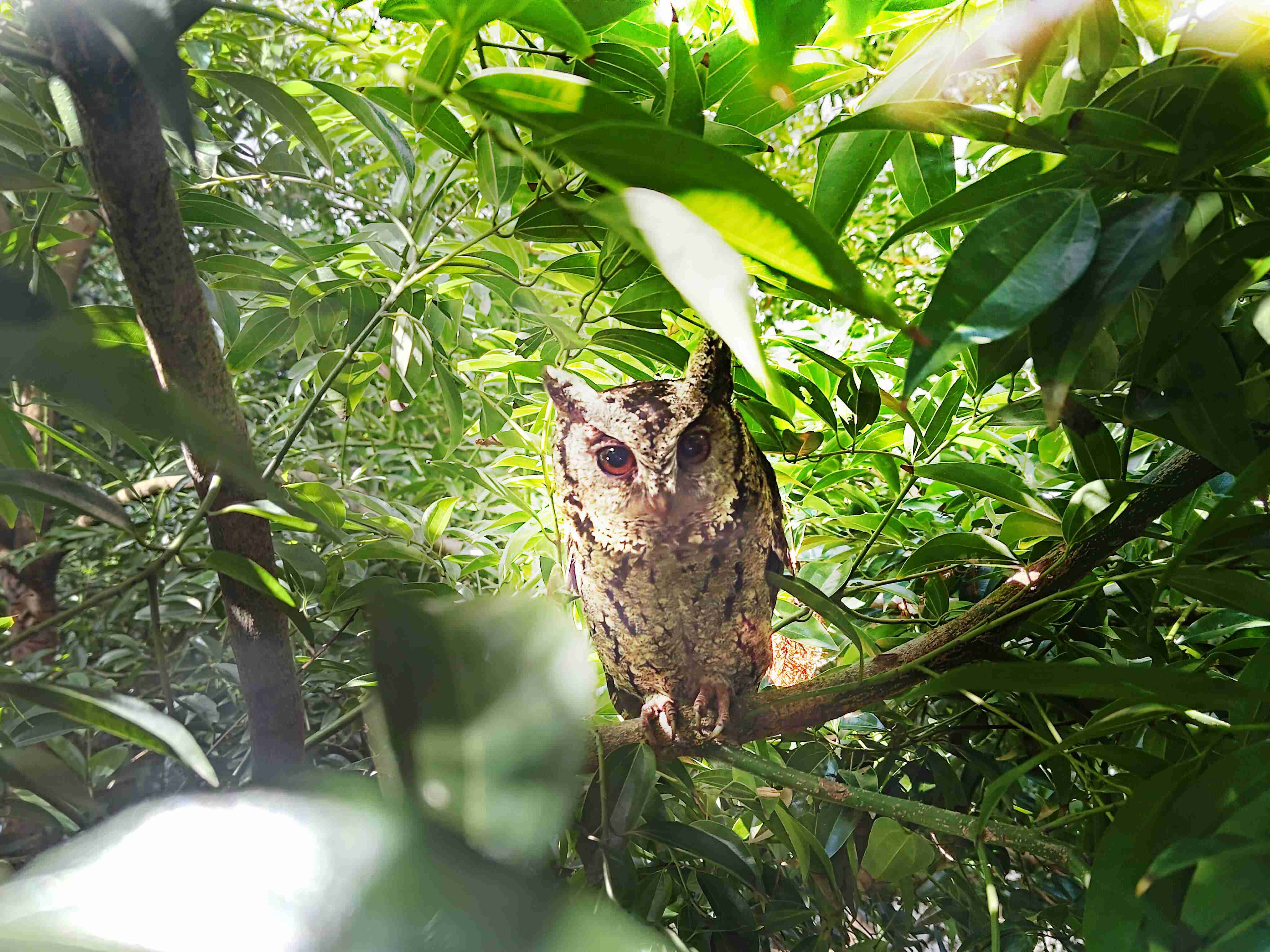 云顶国际8588yd致力提倡净零绿生活，，16年以来在全球各厂区植树逾百万棵，，，，造就各厂区树木蔚然成林，，犹如森林工厂，，成为许多生物的栖息地